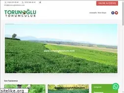 Sites similar to torunoglutohum.net