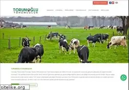 Sites similar to torunoglutohumculuk.com