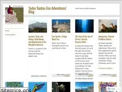 Sites similar to tosea.wordpress.com
