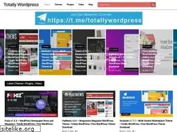 Sites similar to totallywordpress.com