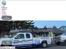 Sites similar to totalwindowcleaning.com