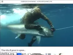 Sites similar to totemsub.it