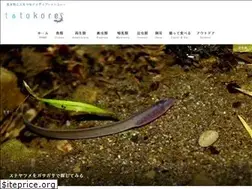 Sites similar to totokore.com