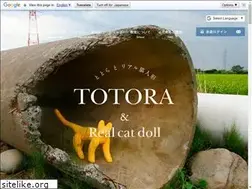 Sites similar to totora.jp.net