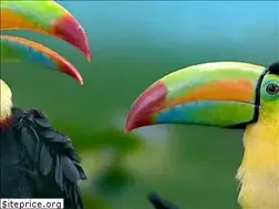 Sites similar to toucan.media