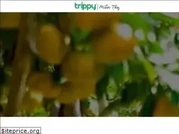 Sites similar to tourdulichmientay.vn