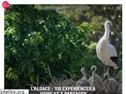 Sites similar to tourisme-alsace.com