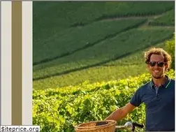 Sites similar to tourisme-en-champagne.com