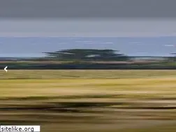 Sites similar to tourisme-gascognetoulousaine.fr