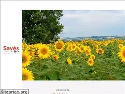 Sites similar to tourisme-saves.com