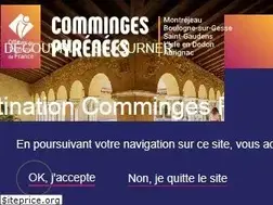 Sites similar to tourisme-stgaudens.com