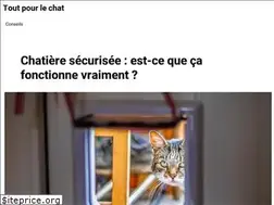 Sites similar to toutpourlechat.com