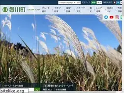 Sites similar to town.aikawa.kanagawa.jp