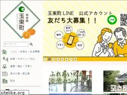Sites similar to town.gyokuto.kumamoto.jp