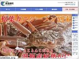 Sites similar to town.shinonsen.hyogo.jp