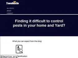 Sites similar to townhustle.com