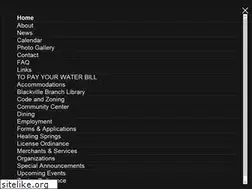 Sites similar to townofblackville.com