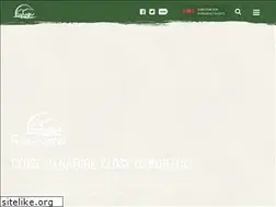 Sites similar to townofriverview.ca