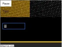 Sites similar to towsontigers.com
