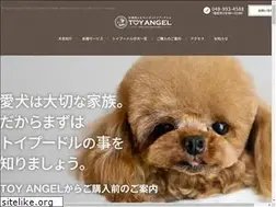 Sites similar to toy-angel.com