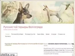 Sites similar to toy-volgograd.ru