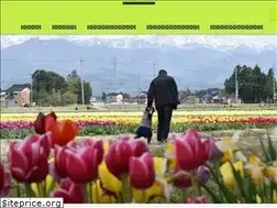 Sites similar to toyama-go.com