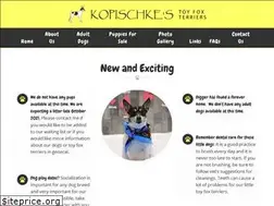 Sites similar to toyfoxmn.com