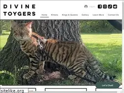 Sites similar to toygers.org