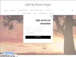 Sites similar to toyhavanese.com