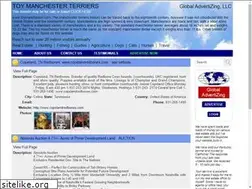Sites similar to toymanchester.com