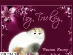 Sites similar to toytricksy.com