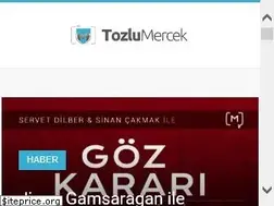 Sites similar to tozlumercek.com