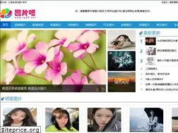 Sites similar to tp88.net