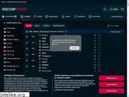 Sites similar to tr.soccerstand.com