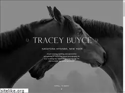 Sites similar to traceybuyce.com