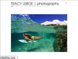 Sites similar to tracykraft.com