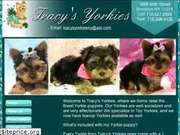 Sites similar to tracysyorkiesny.com