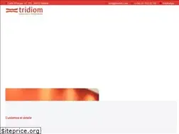 Sites similar to traduccionestridiom.com