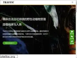 Sites similar to trafficchina.org
