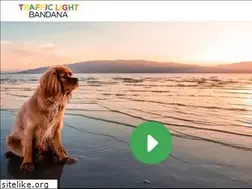 Sites similar to trafficlightbandana.co.nz
