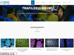 Sites similar to trafileriamauri.com