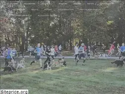 Sites similar to trails4tailsnjpa.org