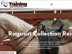 Sites similar to trainingyourownhorse.com