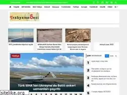 Sites similar to trakyaninsesi.com
