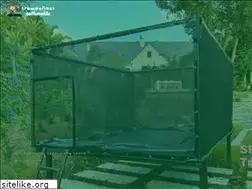 Sites similar to trampoline.co.za