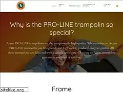 Sites similar to trampolinesespana.com