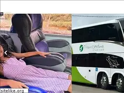 Sites similar to transjoelma.com.br