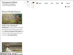 Sites similar to transparentmatrix.com