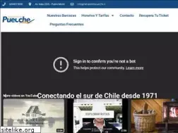Sites similar to transportespuelche.cl