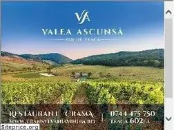 Sites similar to transylvaniavinum.com